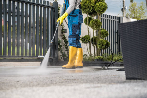 Best Driveway Pressure Washing  in Nuevo, CA